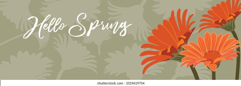 Hello Spring banner background with orange daisies. EPS10 vector illustration.