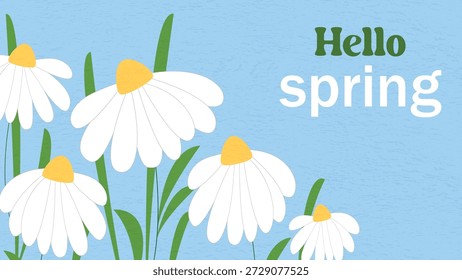 Hola Anuncio de primavera. Margaritas en flor sobre fondo texturizado azul con texto de bienvenida. Plantilla floral Horizontal para carteles, volantes, invitaciones, folletos. gráfico de Vector
