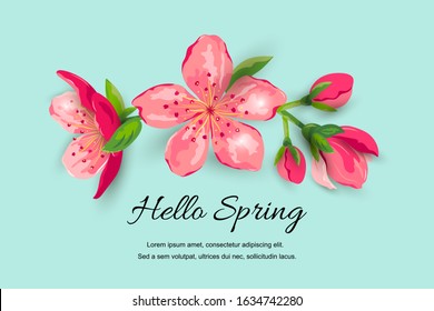 Hello spring banner with blossom sakura, cherry flowers. Place for text. Great for oriental ivite, flyer, beauty offer, spring sale, Mother's and Woman's day.