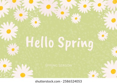 Hello Spring Banner with Chamomile and Texture on green background. Hand drawn Vector illustration