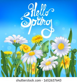 Hello spring banner, flowers dandelions and daisies on a blue background vector illustration in a realistic style, lettering