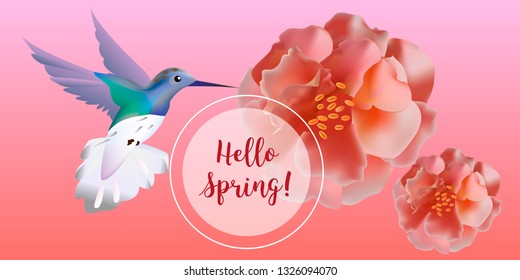 Hello spring banner. Greeting to spring vector card, hello text. Elegant cards with pink roses