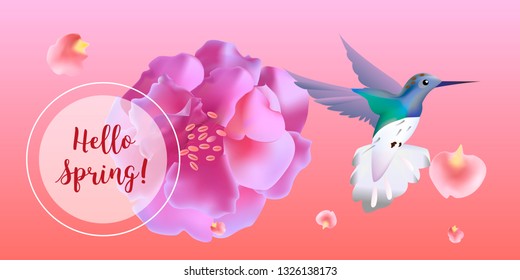 Hello spring banner. Greeting to spring vector card, hello text. Elegant cards with pink roses