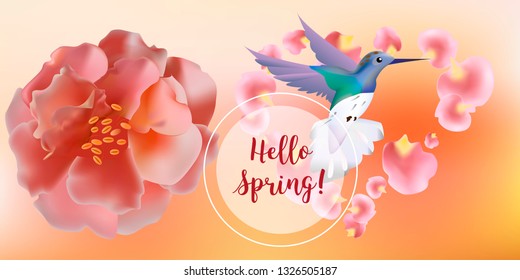 Hello spring banner. Greeting to spring vector card, hello text. Elegant cards with pink roses