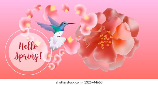 Hello spring banner. Greeting to spring vector card, hello text. Elegant cards with pink roses