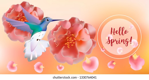 Hello spring banner. Greeting to spring vector card, hello text. Elegant cards with pink roses