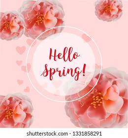 Hello spring banner. Greeting to spring vector card, hello text. Elegant cards with pink roses