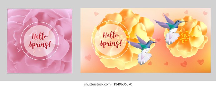 Hello spring banner. Greeting to spring vector card, hello text. Elegant cards with pink roses