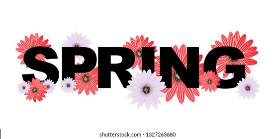 Hello Spring Banner Greetings Design  Background with Colorful Flower Elements. Vector illustration. EPS10