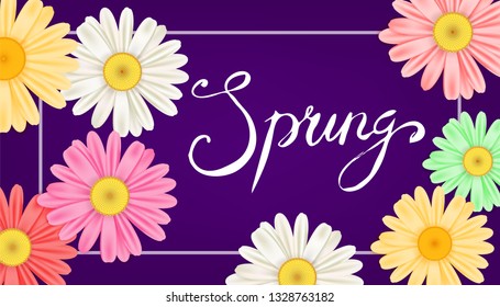 Hello Spring banner. Hand drawn lettering. Background with chamomile, daisy. Spring Time template, flyer, posters, brochure. Happy spring Day. Fashionable styling. Flower vector isolated