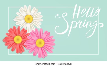 Hello Spring banner. Hand drawn lettering. Background with chamomile, daisy. Spring Time template, flyer, posters, brochure. Happy spring Day. Fashionable styling. Flower vector isolated