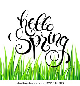 Hello spring banner with handwritten calligraphy lettering and grass. Vector illustration.