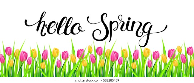 Hello spring banner with handwritten calligraphy lettering and tulips. Vector illustration.