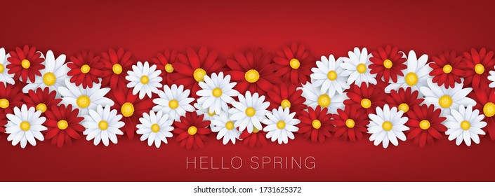 Hello Spring banner or newsletter header. White and red realistic daisy flowers. Floral design wallpaper. Vector illustration.