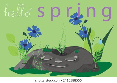 Hello spring banner, poster with flowers, herbs, leaves and stone on a green background