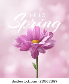 Hallo Frühlingsbanner mit realistischer rosafarbener Chrysanthemumblume auf unscharfem rosafarbenem Hintergrund mit Bokeh. Vektorgrafik.