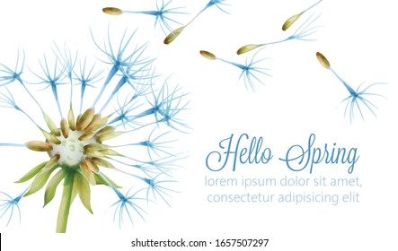 Hello spring banner with watercolor dandelion flower