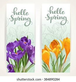 Hello spring banners with yellow and purple crocuses on a white background