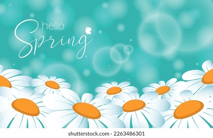 Hello Spring - beautiful spring greeting lettering with chamomile and butterfly. Vector illustration for banners.