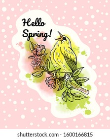 Hello spring. Bird on a branch with flowers. Watercolor, vector,hand-drawn illustration. Creative artwork. Template for card, poster, banner, pin, badge, patch.