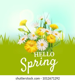Hello spring, a bouquet of daisies flowers dandelions, on a green background, cartoon style, vector, illustration, flyer, banner, isolated