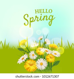 Hello spring, a bouquet of daisies flowers dandelions, on a green background, cartoon style, vector, illustration, flyer, banner, isolated