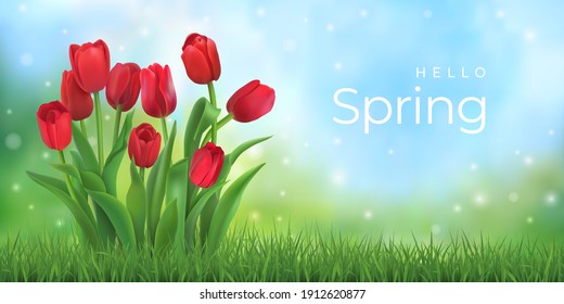 Hello spring. Bouquet of red tulips wit fresh green grass. Vector illustration