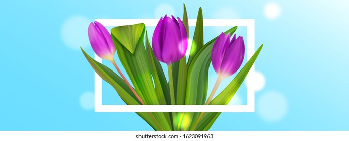 Hello spring bouquet tulip brochure. Cute pastel banner. Colorful background.