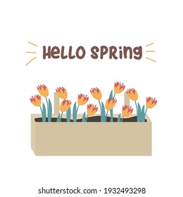 Hallo Frühlingsbox mit Blumen, Vektorgrafik