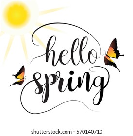 Hello Spring  calligraphic lettering text vector. Butterflies sun