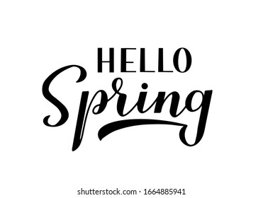 Hello spring calligraphy lettering isolated on white. Inspirational seasonal quote typography poster. Handwritten logo design. Easy to edit vector template for banner, flyer, sticker, t-shirt, etc. 