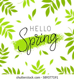 Hello spring. Calligraphy and lettering. Vector illustration. Green plant in the background. Concept card.