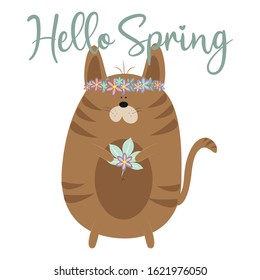 Hello Spring calligraphy text, with cute  brown cat. Good for t shirt print, poster, banner, card and gift design.