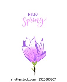 Hello spring calligraphy text and hand drawn magnolia flower.