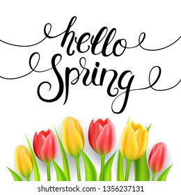 Hello spring calligraphy with tulips.