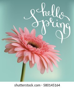 Hello Spring. Caption thin pen. Postcard with spring flower. Gerbera. Realistic pink flower. Spring sky. Vector spring background.