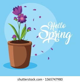 hello spring card with beautiful flowers in pot