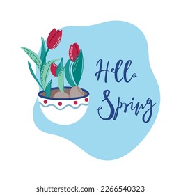 Hello spring card. Beautiful Spring flowers in flowerpot. Lovely Spring print with flowers and lettering. Flat style hand drawn vector illustration.