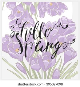Hello spring card with crocuses. Spring flower. Perfect for wedding, greeting or invitation design. Spring flower card. Spring background. Spring crocuses flower. Flower frame. Flower background. 