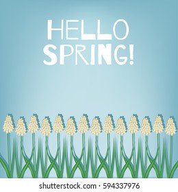 Hello Spring. Spring card with flowers muscari