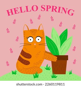 Hello spring card with ginger cat and potted plant
