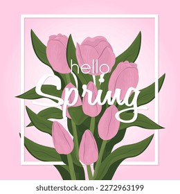 Hola tarjeta de primavera con flores de tulipán rosado. Concepto de primavera. Tarjeta floral sobre fondo rosado. Ilustración vectorial.