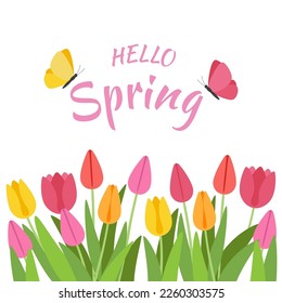 Hello spring card with tulips and butterfly. Vector Illustration.