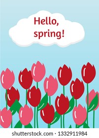 Hello Spring card with tulips. Vector illustration