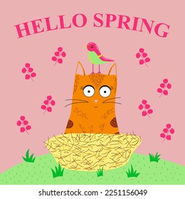 Сard hello spring with a cat in a nest and a bird