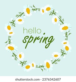 Hello spring in chamomile wreath. White flower heads, green leaves on a blue background. Field summer daisies. Congratulations text. Botany. Postcard and banner. Vector illustration.