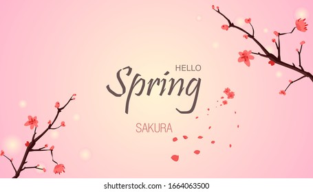 Hello spring with cherry blossom flower is the season of Japan for greeting card, invitation template, banner, postcard, background and label tag spring sale.