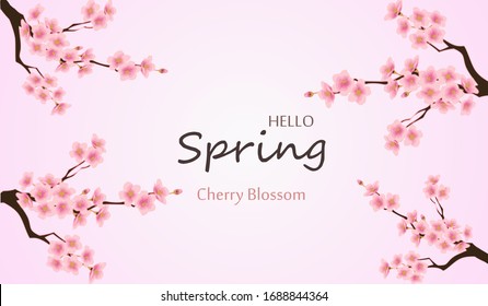 Hello spring with cherry blossom flower is the season on purple color background for greeting card,invitation template, banner,poscard, background and label tag spring sale.