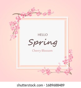 Hello spring with cherry blossom flower is the season for label tag spring sale , greeting card, invitation template, banner, poscard and wallpaper.