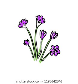 Hello Spring colored sketch set. First flowers